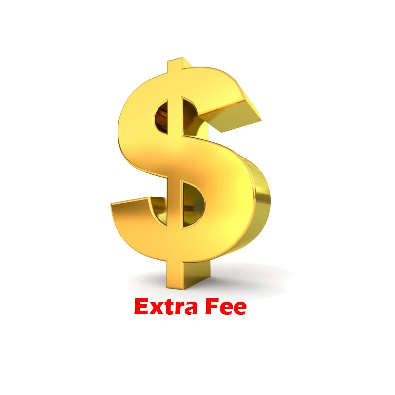 

RAYKUBE Extra Fee Payment