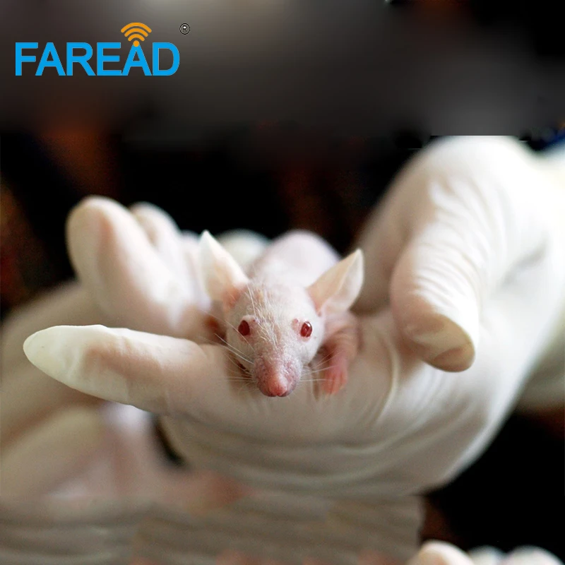 X10pcs قابلة لإعادة الكتابة 1.4x10 مللي متر علامة زجاجية تتفاعل حيوان صغير حقنة رقاقة تتفاعل لتحديد تعريف الأسماك ICAR