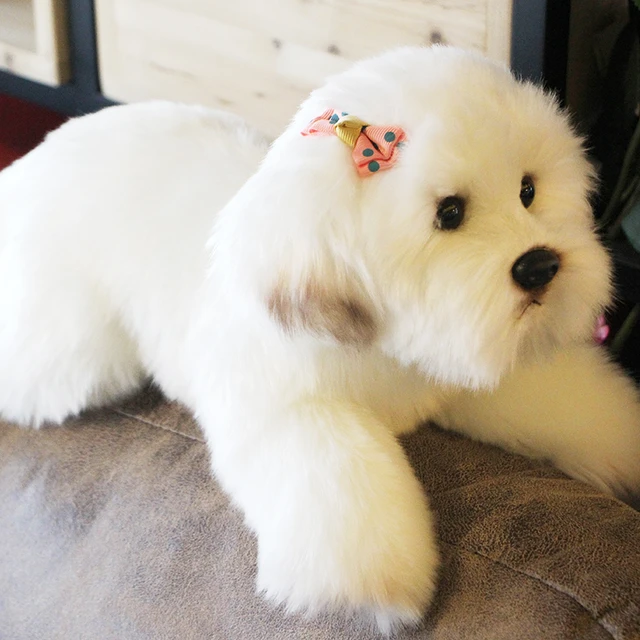 Males aggiungerne Maltese Plush Toy