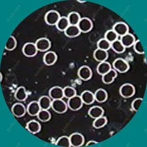 Microscópio binocular com luz led amscópio, microscópio composto biológico 40x-2000x 3w com campo escurecido 10 principais vendas microscópio de campo escuro - №3