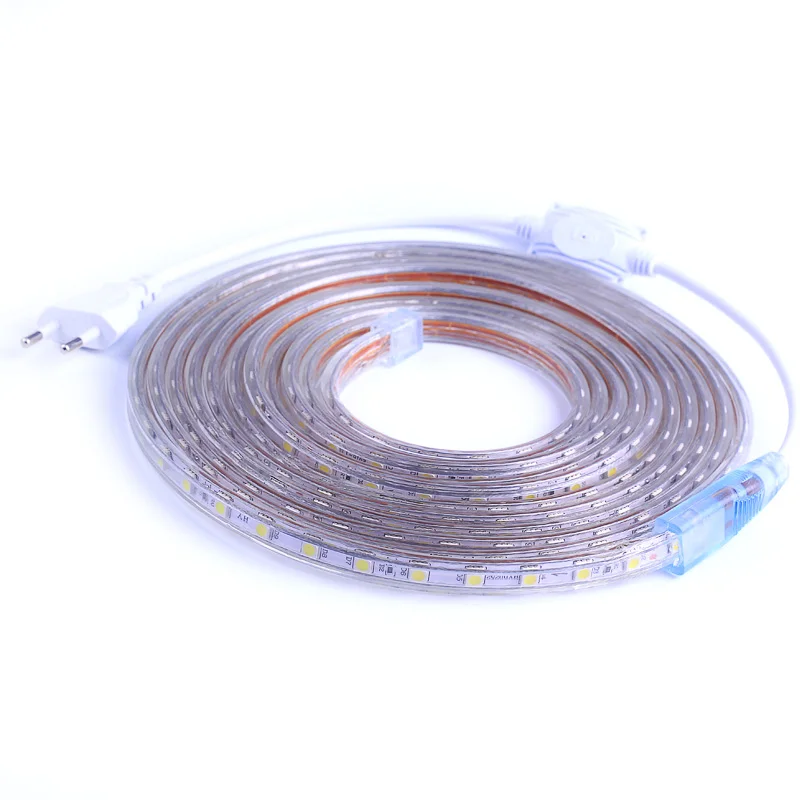 Bande lumineuse Flexible étanche SMD 5050 AC220V, 60 s/m, ruban RGB avec prise d'alimentation, 1M/2M/3M/5M/6M/10M/15M/25M