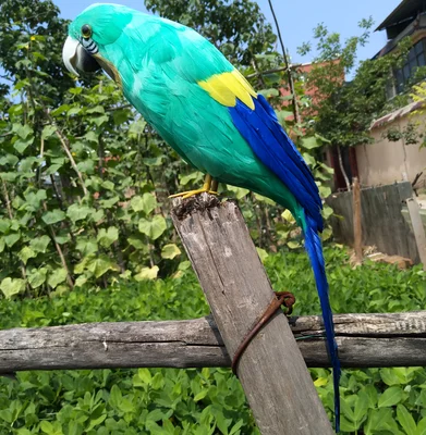 

large 45cm coloured green feathers parrot model bird stage prop,home garden decoration Christmas gift w2029