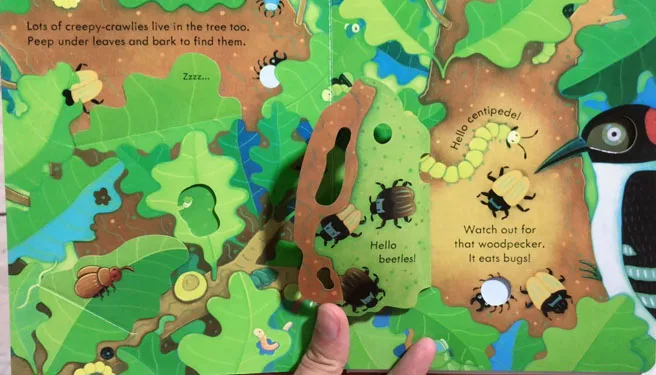 Peep Inside A Tree English Educational 3D Flap Picture Book Baby Children Reading Story Books