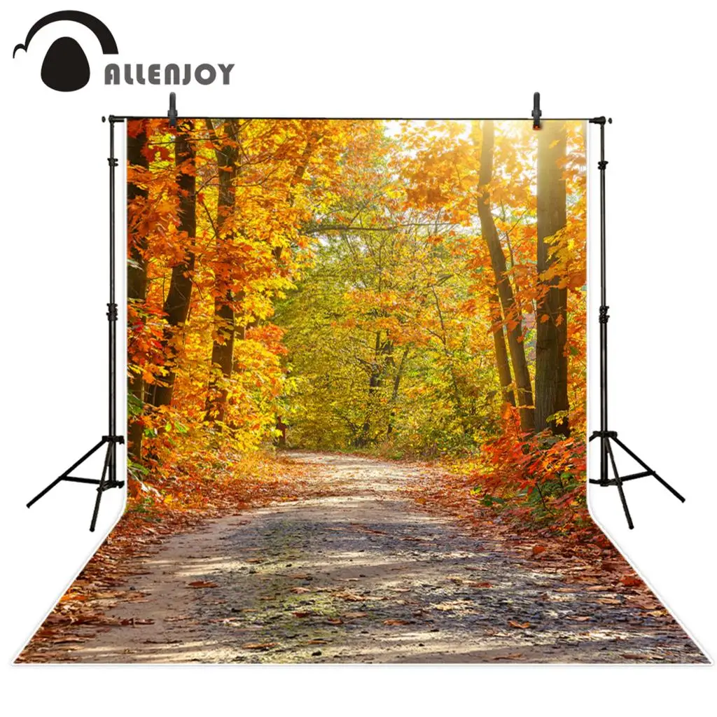 Fotografia allenjoy tło piękne jesienne liście jesienne las nowe tło photocall dostosuj zdjęcie drukowane