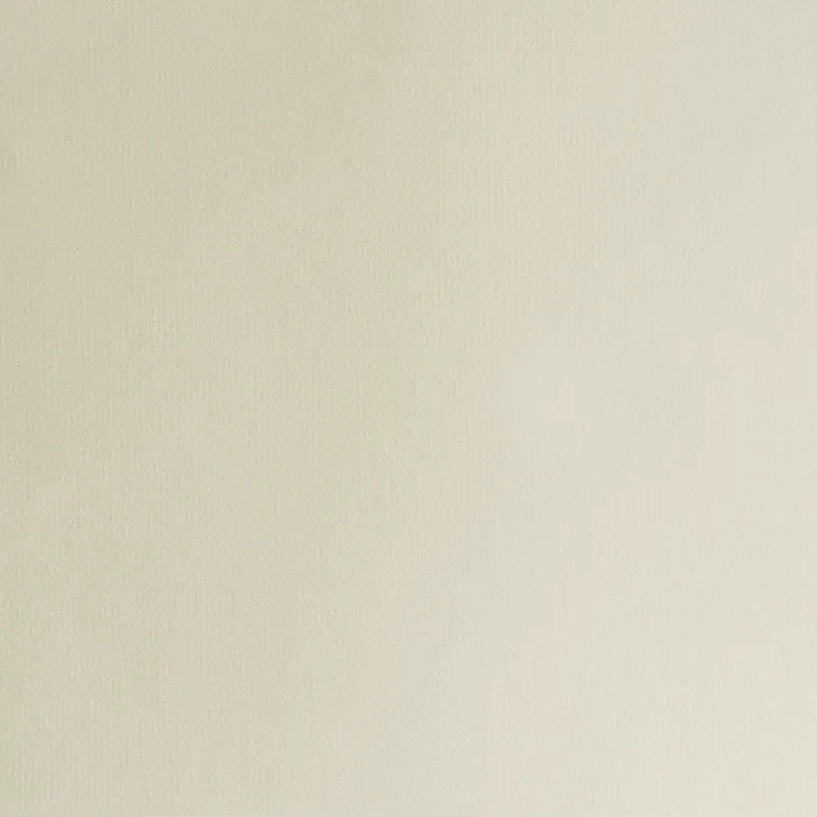 Splay Mark Product Dimensions 21X29.7cm A4 Business Writing Paper Pack of 10 Pieces Printed Texture Milk White