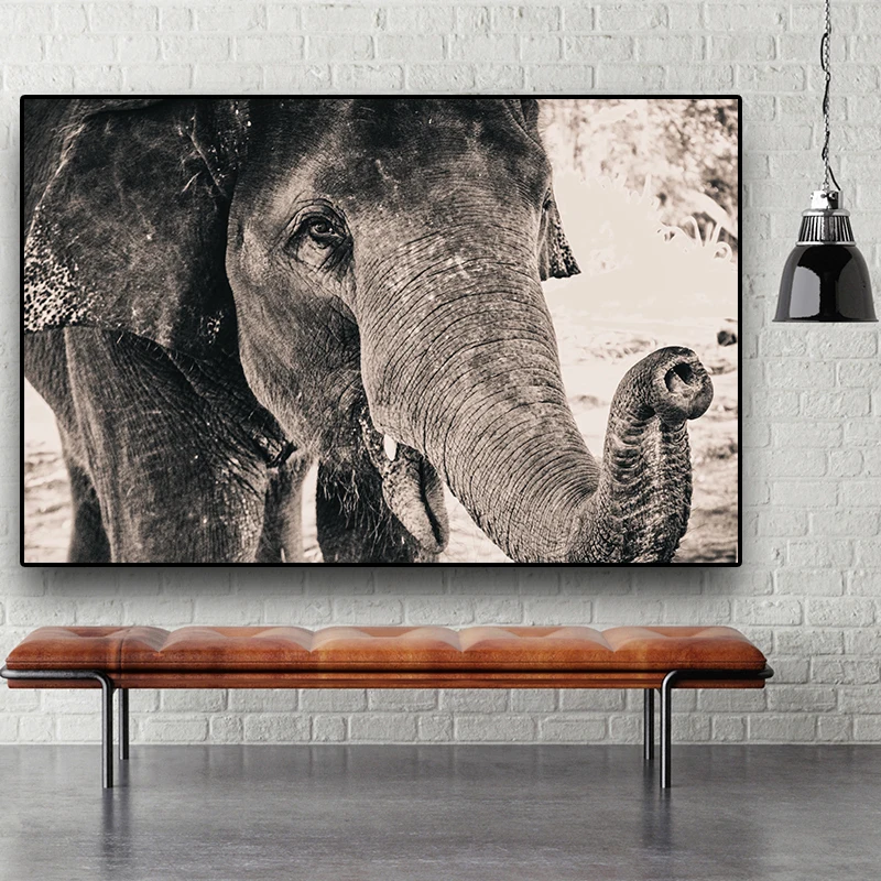 

Wild Africa Elephant Black and White Animal Canvas Painting Posters and Prints Cuadros Wall Art Pictures for Living Room Decor