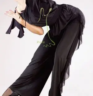 

2010 exotic dance, new summer style modern dance, practice dance, P10016