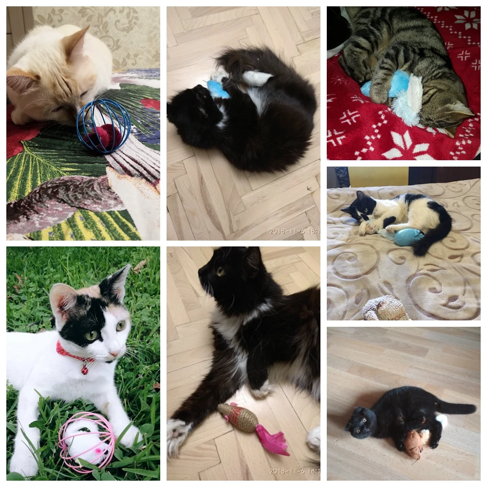 Giocattolo per gatti Catnip Mouse giocattoli per gatti topi interattivi giocattoli per gatti palla gattino Pet peluche divertente fornitura di gatti