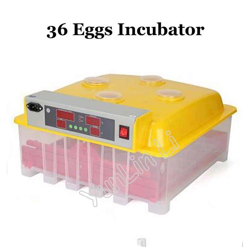 

Intelligent 36 Chicken Eggs Incubator 144 Quail Eggs Incubator