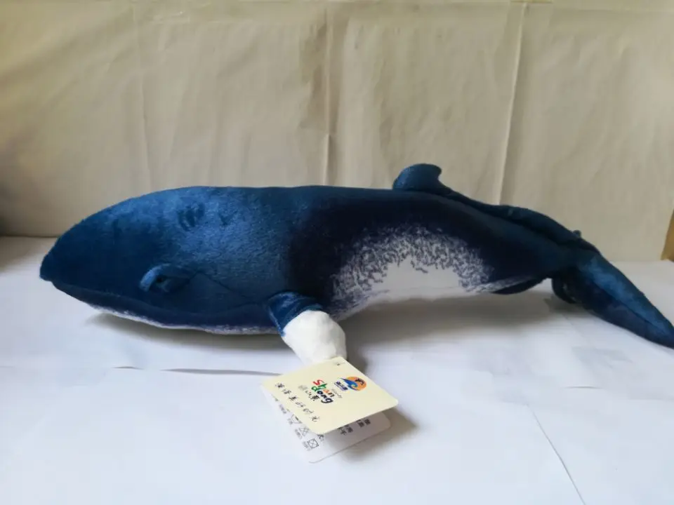 about 50cm simulation whalebone whale plush toy blue whale soft doll pillow toy birthday gift w1400