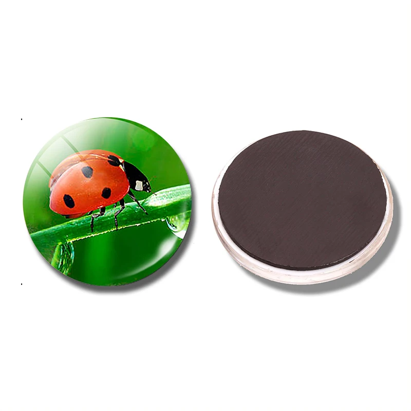 Ladybug Fridge Message Magnets  Red Insect Refrigerator Magnetic Holder  Natural Creature  30 MM Glass Cabochon Magnetic Sticker