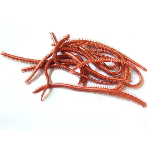 Imagen 2 del producto 10 unids/lote gusanos marinos artificiales 135mm Señuelos de pesca blandos cebo suave señuelos realistas con olor a pescado