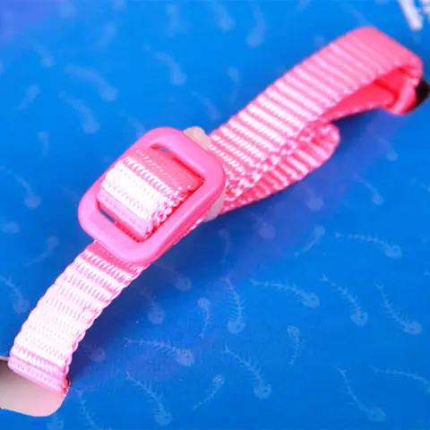 8 best sales bälte för katt - №4