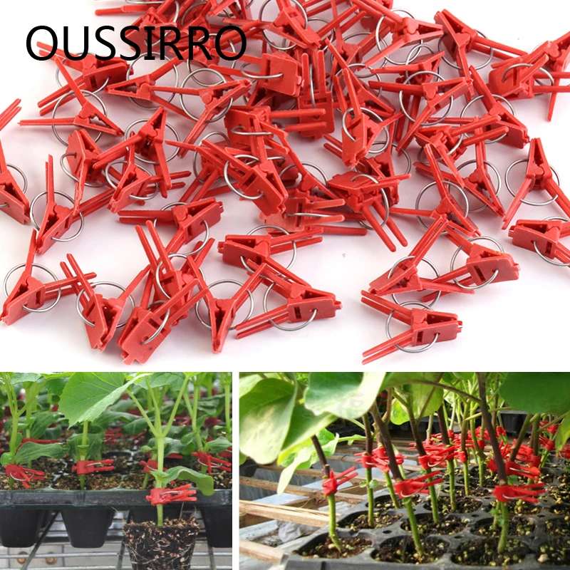 

Red Plastic Grafting Clips Plant Support Clips Vine Garden Vegetables Plants Hanging Plastic Vegetables Garden Ornaments