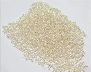 AAA 1-2mm White Flat Back Undrilled Button Shape Freshwater Loose Seed Pearls