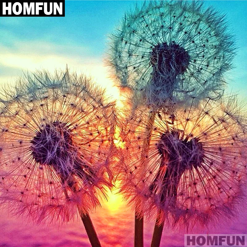 HOMFUN Full Square/Round Drill 5D DIY Diamond Painting \