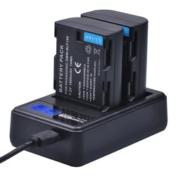 2x DMW-BLF19E DMW-BLF19 DMW-BLF19PP batería BLF19 BLF19E + cargador USB Dual para Panasonic Lumix GH3 GH4 GH5 DMC-GH3 DMC-GH4 GH3K