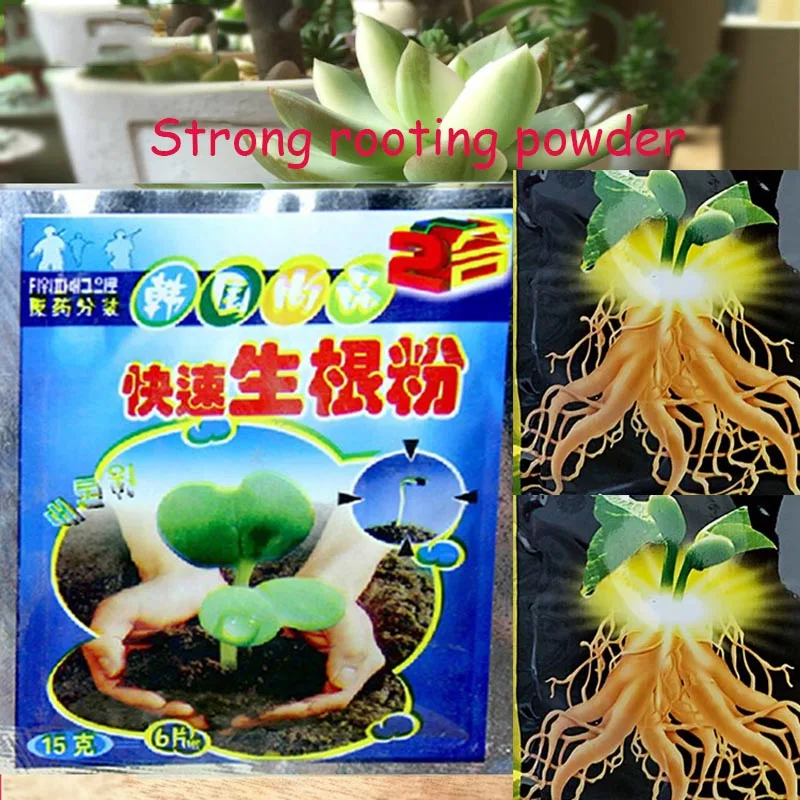 2pcs Flower Strong rooting powder growing roots seedling strong recovery root vigor germination aid fertilizer Garden medicine