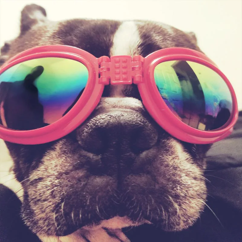 Fashion Dog Sunglasses Cool Pet Dog Accessories Adjustable Glasses For French Bulldogs Medium Big Dog Waterproof Goggles 20S2