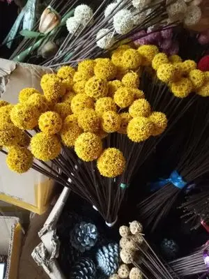 10pcs/lot 40/60cm Artificial Green / Coffee Flower Stem DIY Floral Material Handmade Wire Stem Accessoies for Wedding Home Decor