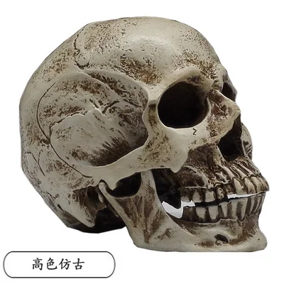 1:2 human muscle skull models Medical teaching and painting reference teaching AIDS free shopping