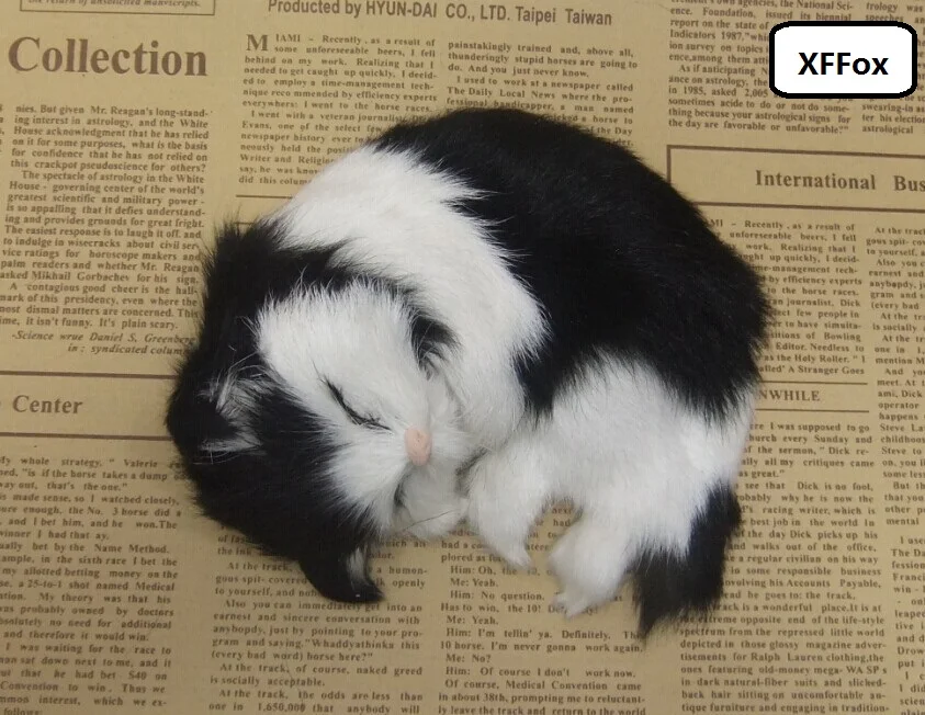 new real life black&white cat model plastic&furs sleeping cat gift about 14x11cm xf1537