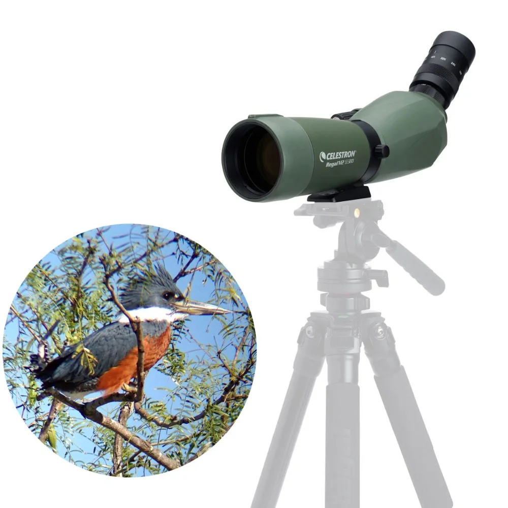 Celestron Regal M2 65 F-ED 45 grados 16x-48x Zoom telescopio multirevestido para observación de aves caza viajes