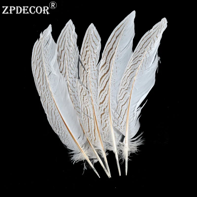 

20-25 CM 8-10 Inch Silver Pheasant Tail Feathers Color can be custom