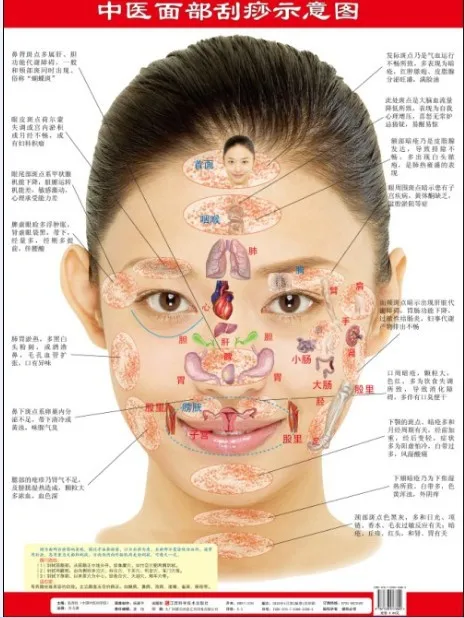 Facial scraping, scraping diagrams, wall charts, TCM