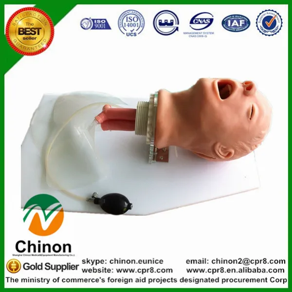 

BIX-J50 Medical Skill Practice Classic Simulate Airway Intubation Training Manikin W055