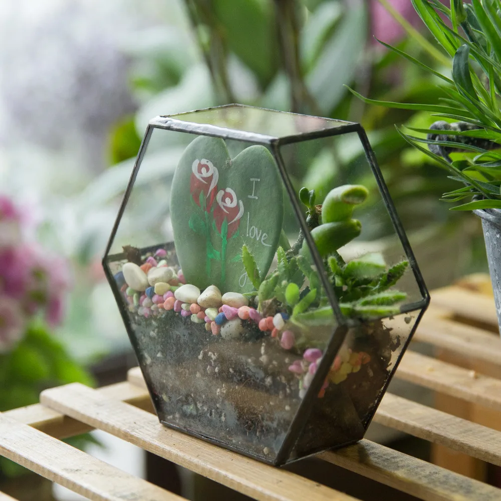 

Desktop DIY Geometric Hexagon Glass Box Succulent Plant Planter Decoration Flower Pot Vertical Garden Bonsai Terrarium Flowerpot