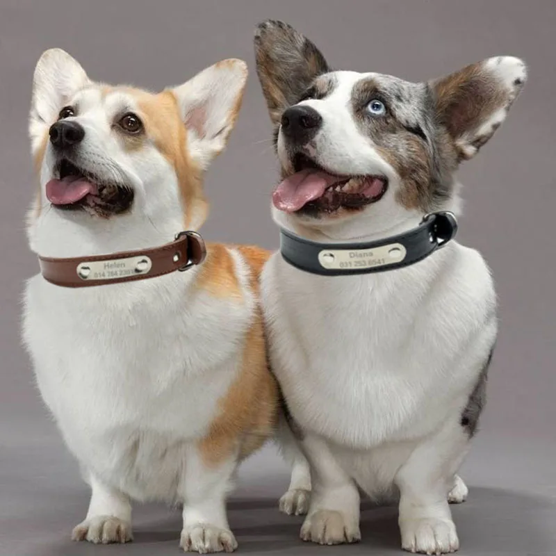 Creative Customized Leather Dog Collar Durable Padded Personalized Pet ID Collars PU Carving Puppy Cat Leash Nameplate Engraved