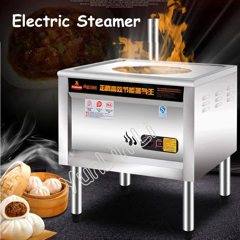 220V Electric Steamer Commercial Furance Gas & Electric Steaming Machine Anti Dry Design