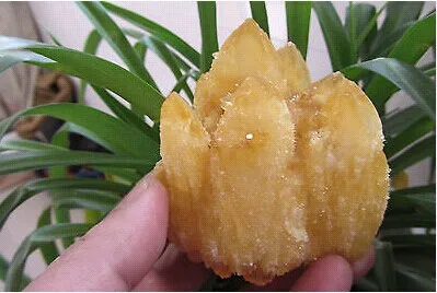 

New Find Yellow Citrine Quartz Crystal Cluster Specimen