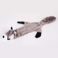 Raccoon