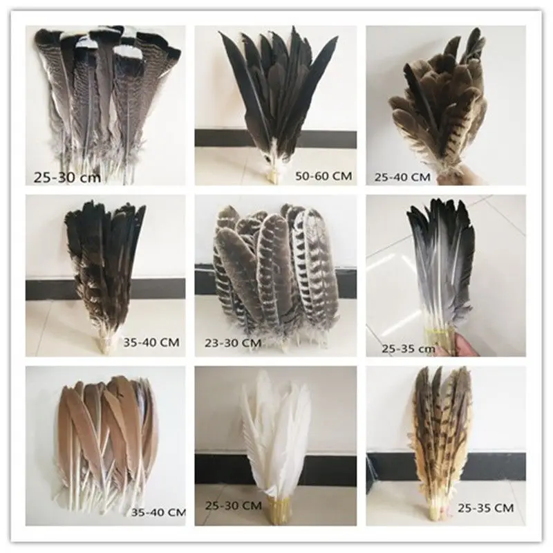 10pcs  Multiple are and precious feathers Beautiful patterns feathers optional