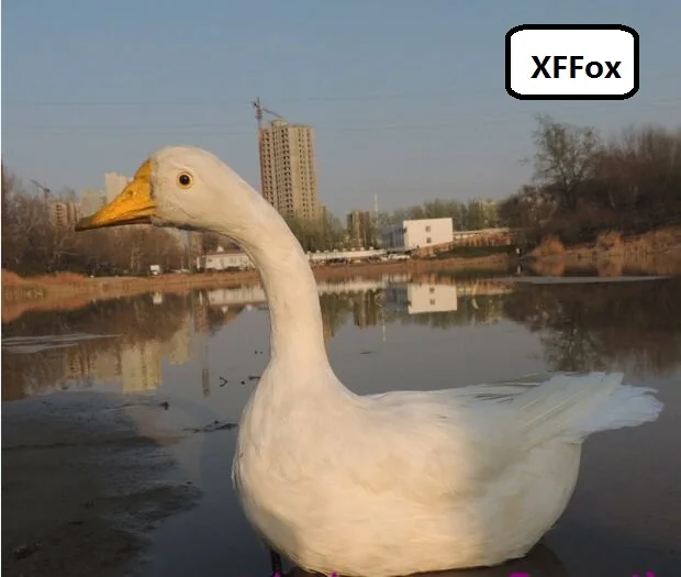 35x45cm Big Simulation White Duck Model Cute Bird Model Gift Real Life Foam & Furs Design about 35x45cm