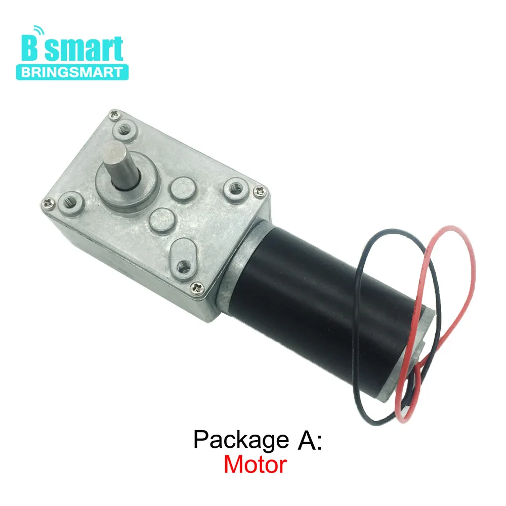 Bringsmart 12V 24V DC Worm Gear Motor High Torque 70kg.cm Mini Electric Motor CW/CCW Self-lock Engine Part A58SW31ZY Customized