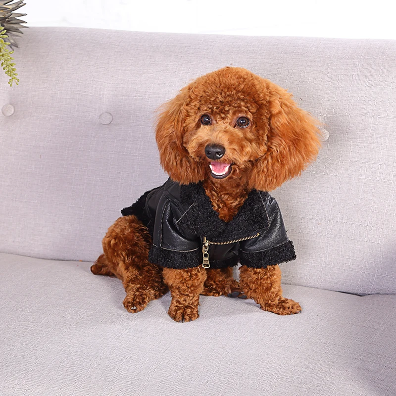 TAILUP Winter Warm Pet Clothes Soft PU Leather Coat For Small Yorkie Dogs Windproof Puppy Chihuahua Fur Jackets