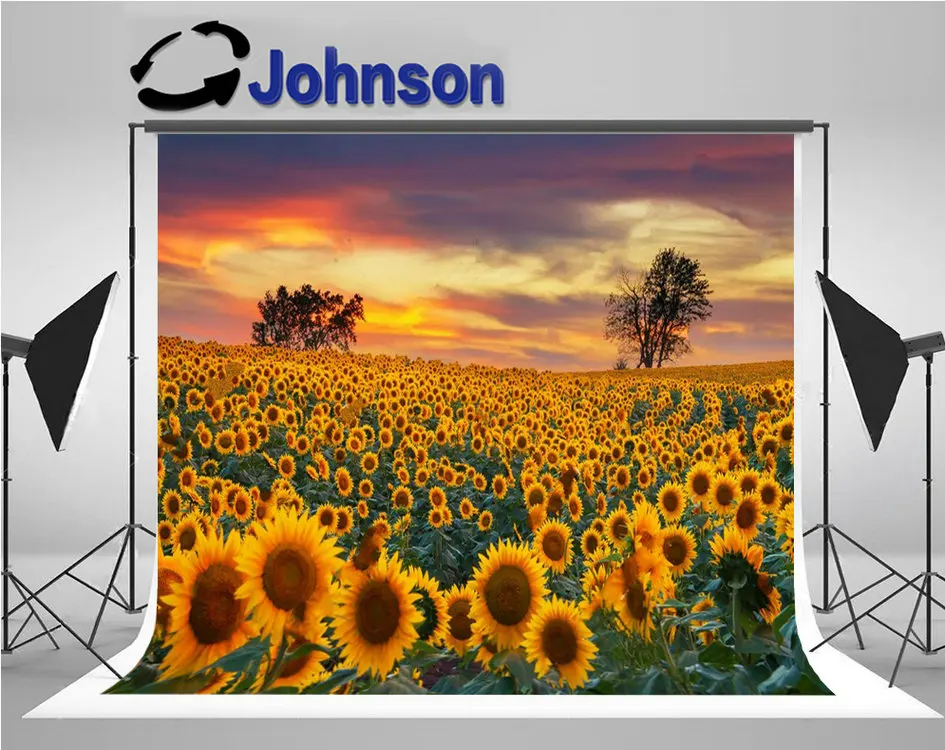 

Sunflower Field Midwest Full Bloom Sunset Tree backgrounds High quality Computer print wedding photo backdrop