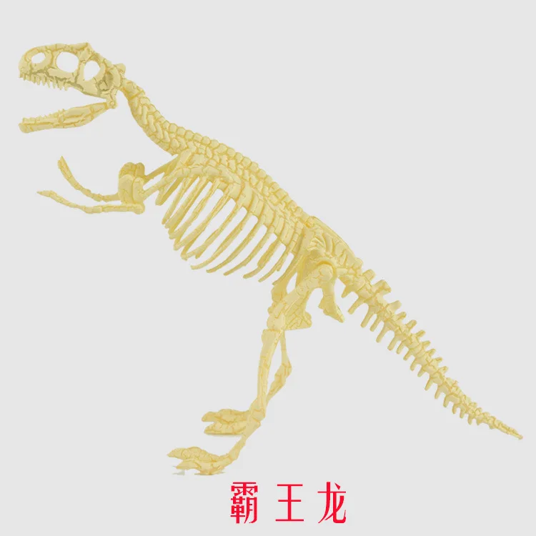 3D Assembled Dinosaur Skeleton Model Toys 6 Archaeological Excavation Dinosaur Bone Children's Puzzle Toys