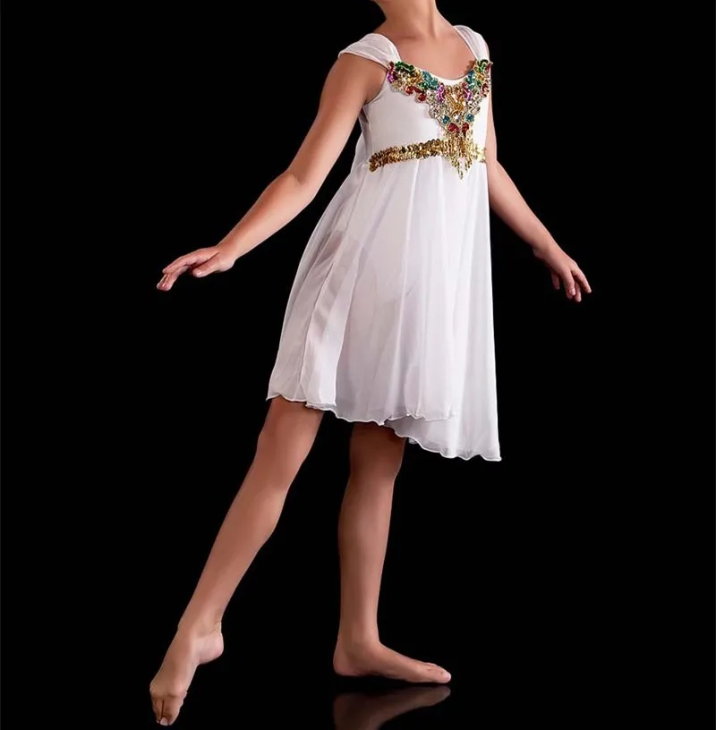 Nuovo Elegante Lyrical Danza Moderna Ballerine Vestito Lago Dei Cigni Balletto Costume Cielo Blu Rosa Bianco Rosso Abiti Balletto Per I Bambini