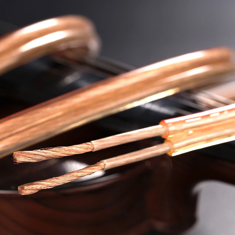 Cavo per altoparlante 18GA cavo per altoparlante HIFI fai da te linea Audio trasparente OFC per sistema Home Theater DJ Stereo per auto di fascia alta