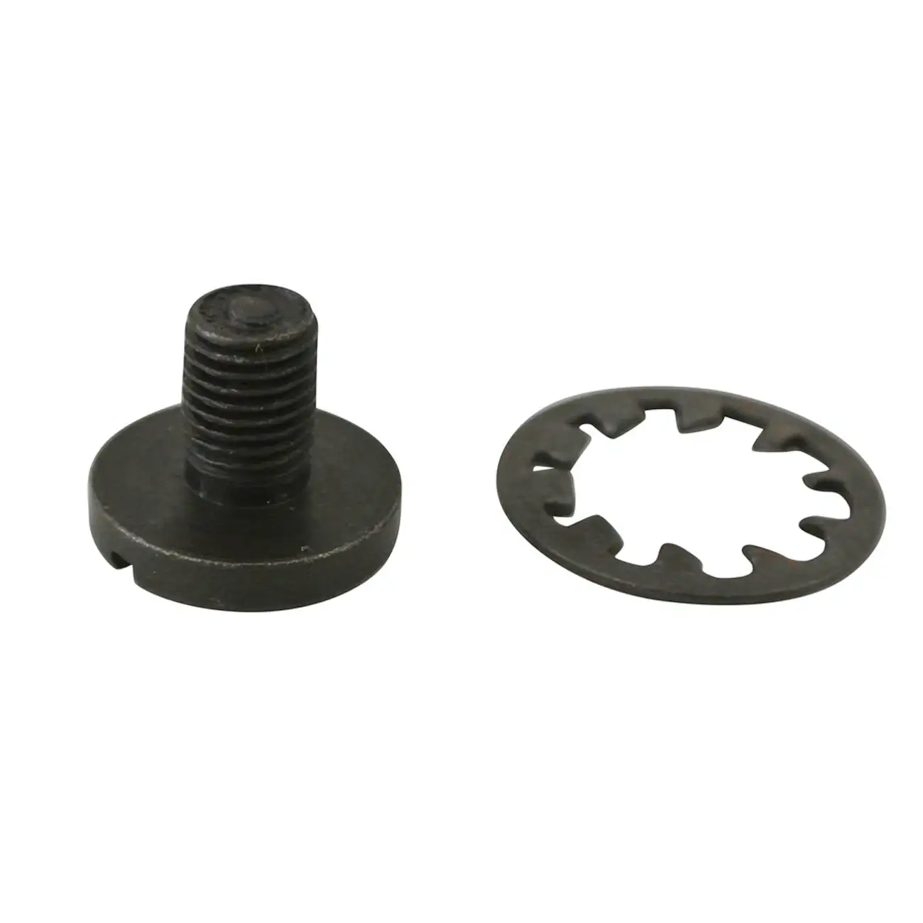 Screw & Gasket For Motorized Bicycle Universal