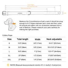 Custom Leather Dog Collar #6