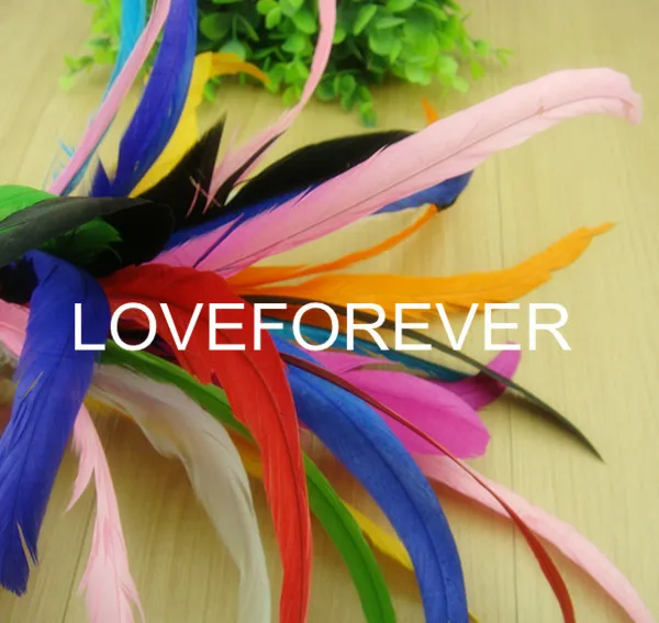 

9 colors 100pcs/Lot Quality Colored 25-30cm Loose COQUE ROOSTER TAIL FEATHERS/long feathers for Hats or Costumes