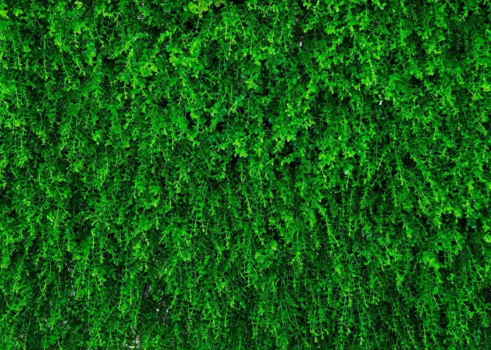 Capisco หญ้าสีเขียวพื้นพื้นทารกแรกเกิดการถ่ายภาพพื้นหลังที่กําหนดเองการถ่ายภาพฉากหลัง Props สําหรับ Photo Studio