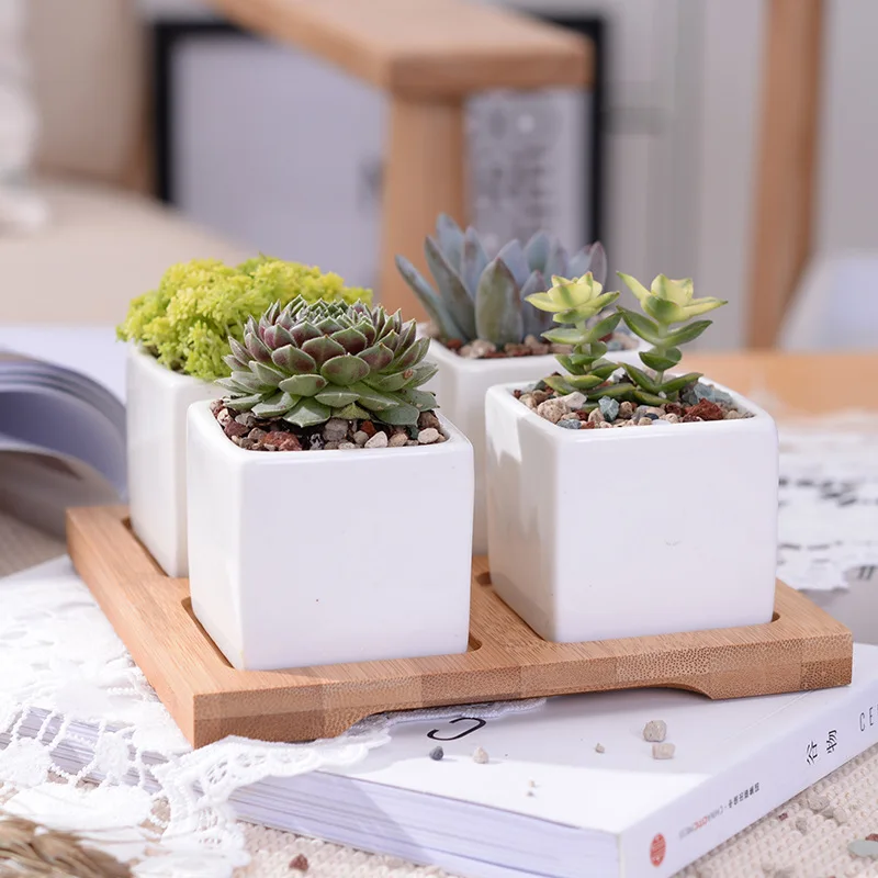 Set of 4 Minimalist Cube Flowerpots White Ceramic Succulent Planter Pot with Bamboo Stand for Cactus Mini Bonsai