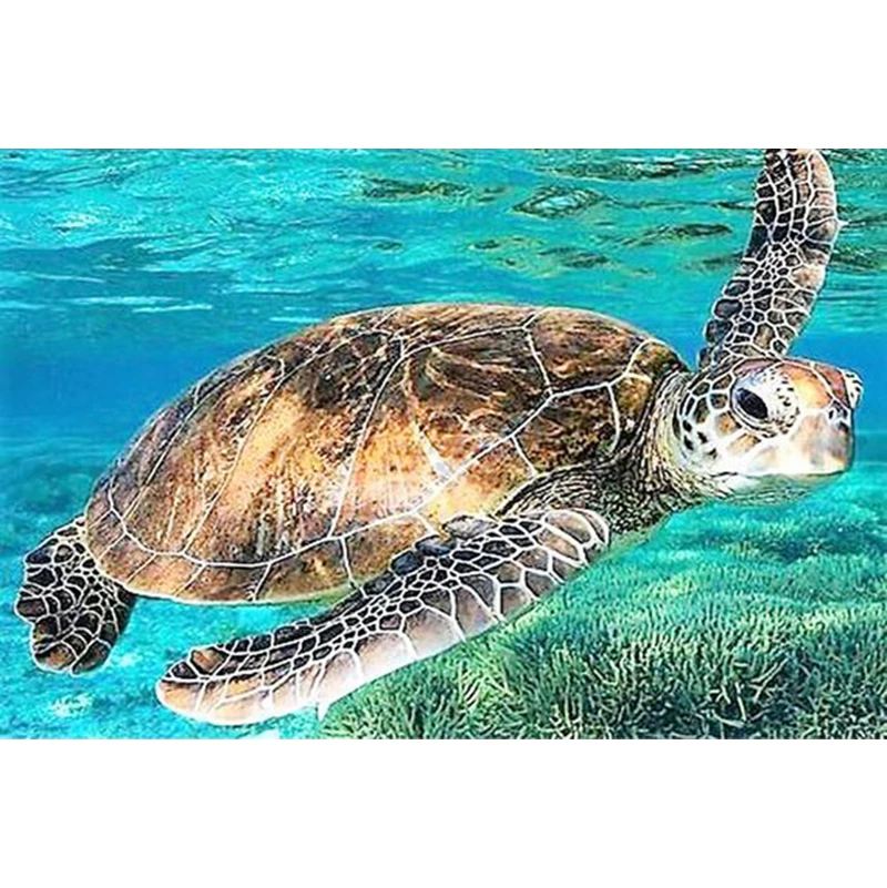 

New Year Turtle In Sea Diamond Painting Cross Stitch Diamond Embroidery Rhinestone Handwork Home Decor gift KBL