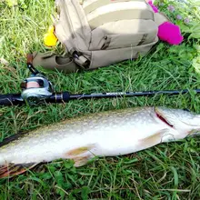 Booster Spinning Fishing Rod 2 Tips #6